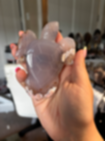 Flower Agate Turtle