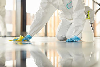 cleaning and sanitation services.jpeg