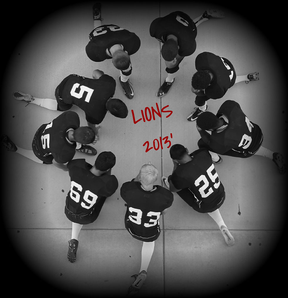 Lions2013.jpg