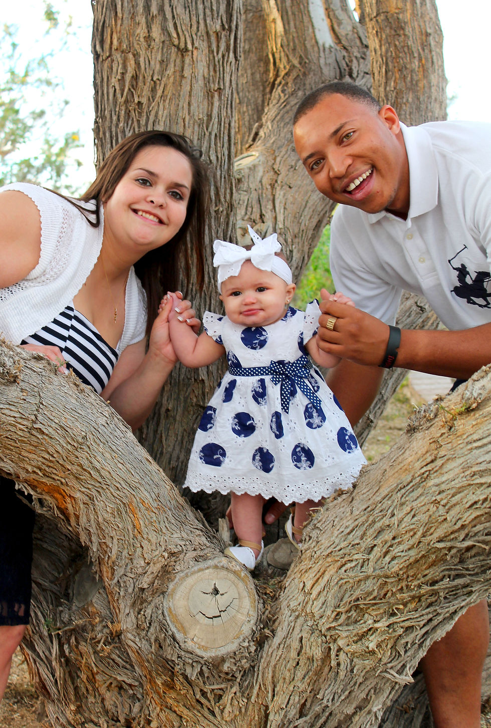 familytree.jpg