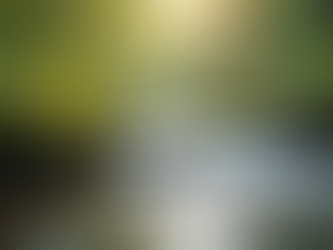 The Art of Mindful Living