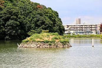 宝来山古墳の周濠内に浮かぶ小島