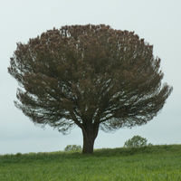 p1000819