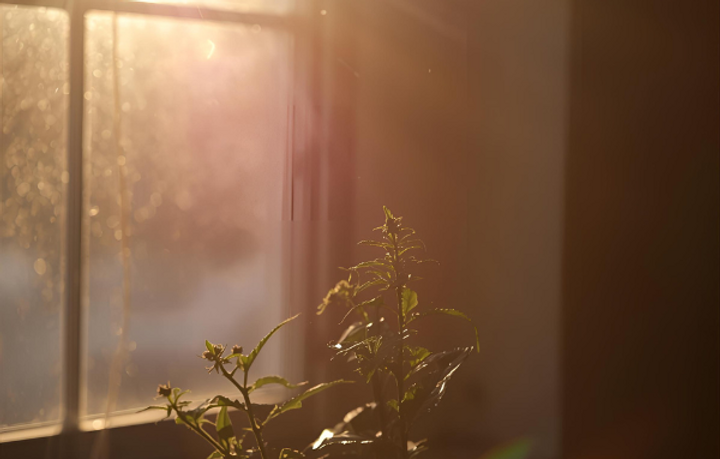 window.png