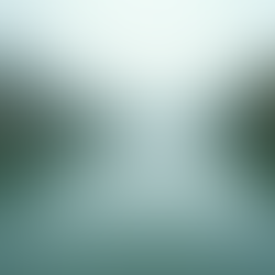 The Power of Mindfulness in Everyday Life