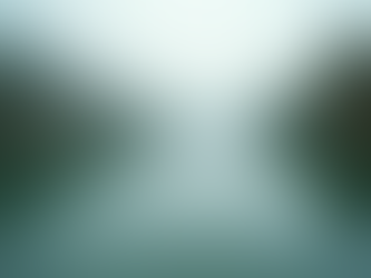 The Power of Mindfulness in Everyday Life