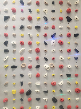 Image of many climbing holds on a training wall