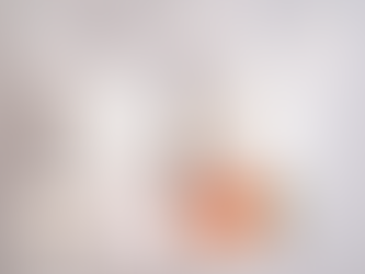 Sheep Shaved - Cuteness Overload