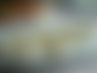 Top Reasons to Hire Broom and Broth for Kosher Services