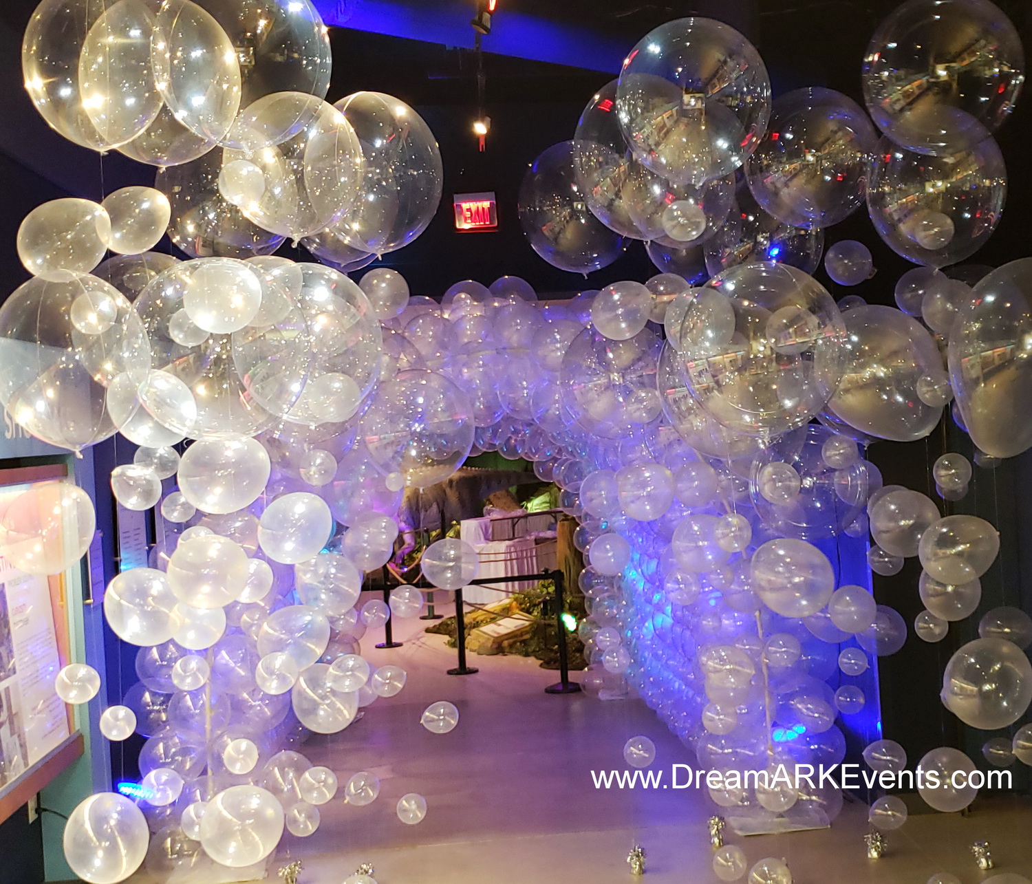 Themed Party Decoration | Fort Lauderdale | DreamARK Events