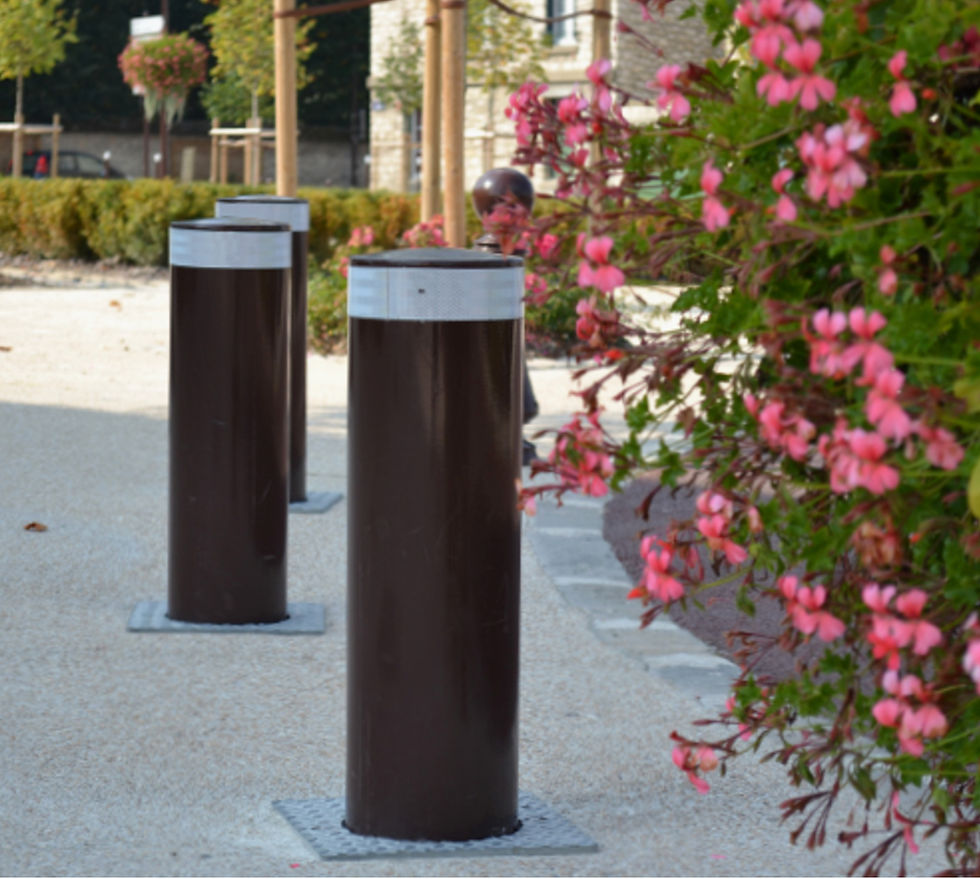 Borne Amovible MOGA_edited.jpg