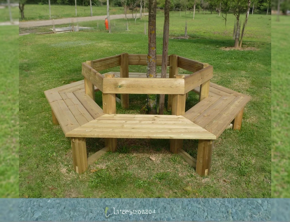Banc Contour d'Arbre