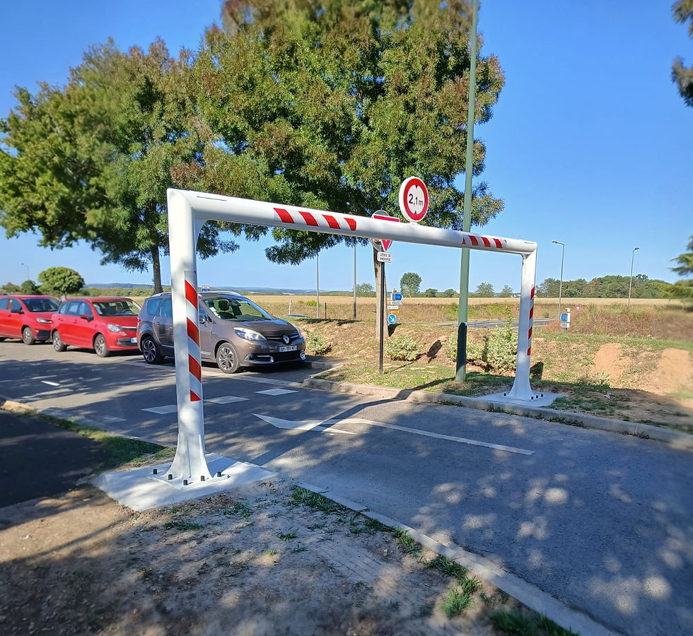 Portique Fixe Anti-intrusion