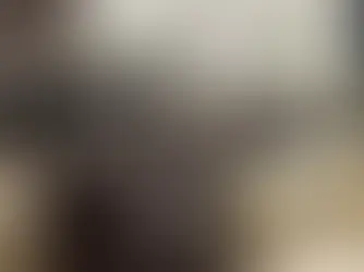 Chicago Greystone interior design by Adam Pitts featuring deep tones, structured lines, and refined contemporary styling.