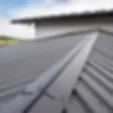 Metal Roof For Homes