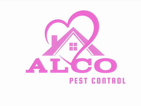 10 Signs You Need Pest Control Now (Before a Small Problem Becomes a Big One)