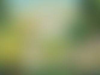 Emmanuel Nigel: "No Sorrow Can Even Respire There."