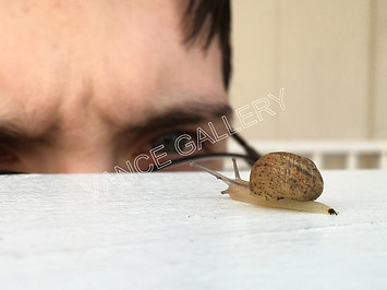 Snail's Perspective, 2016 35mm Color Photo