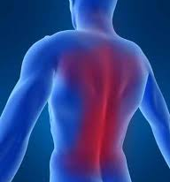 Yoga for Back Pain.
