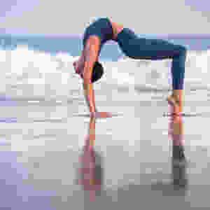 Wheelpose on the beach