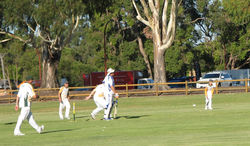 IMG_0057 (2)