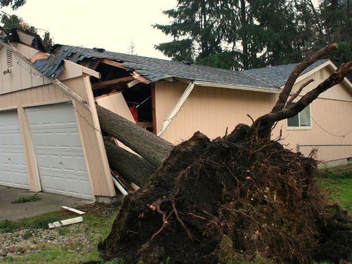 How to Navigate Insurance After a Natural Disaster?