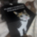 InkNStitch LA Based Veteran Owned Printing_edited.png