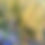 Thumbnail: Warm Light through the Shadows