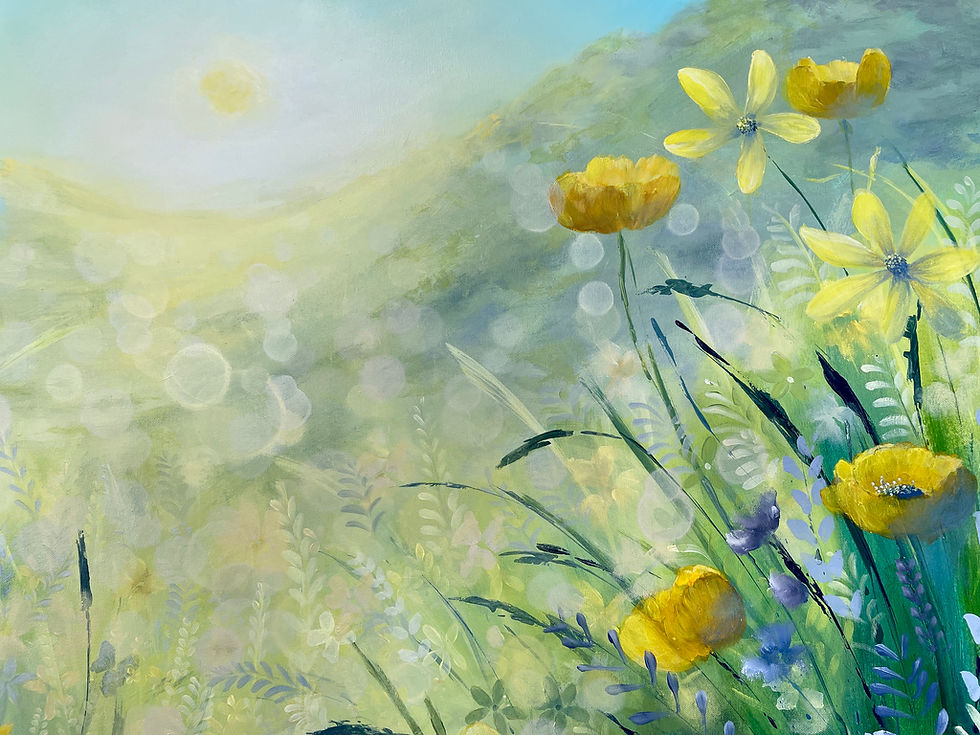 Thumbnail: Sunrise over the meadow