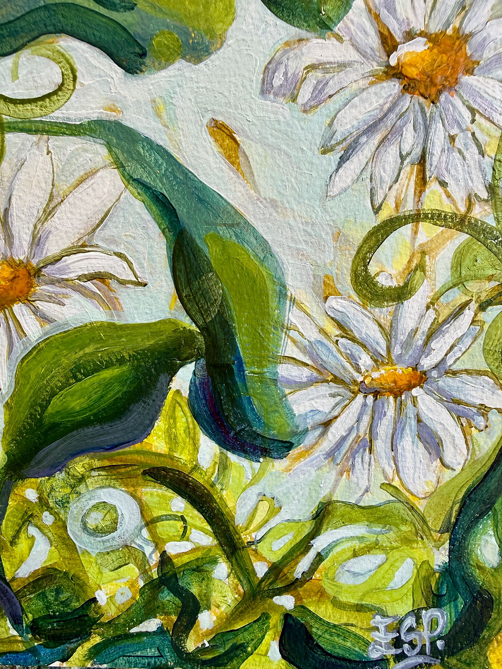 Thumbnail: Daisies