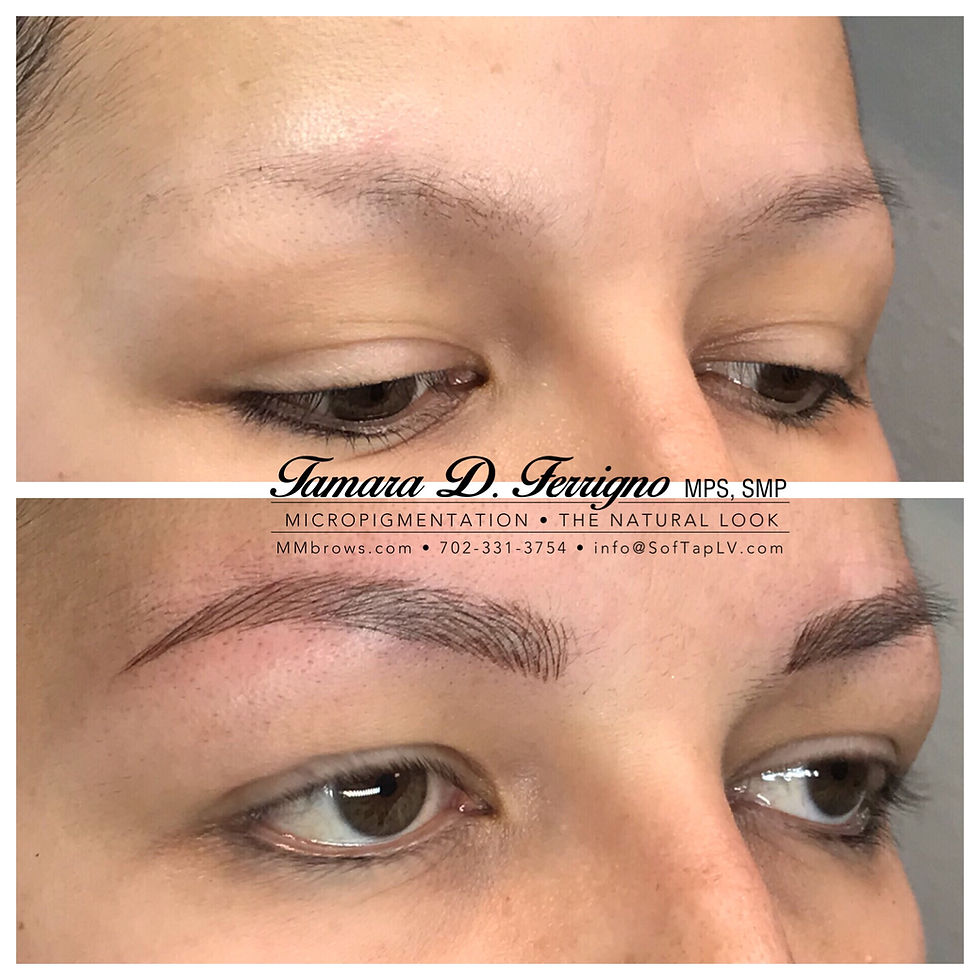 6D Microblading & Shading