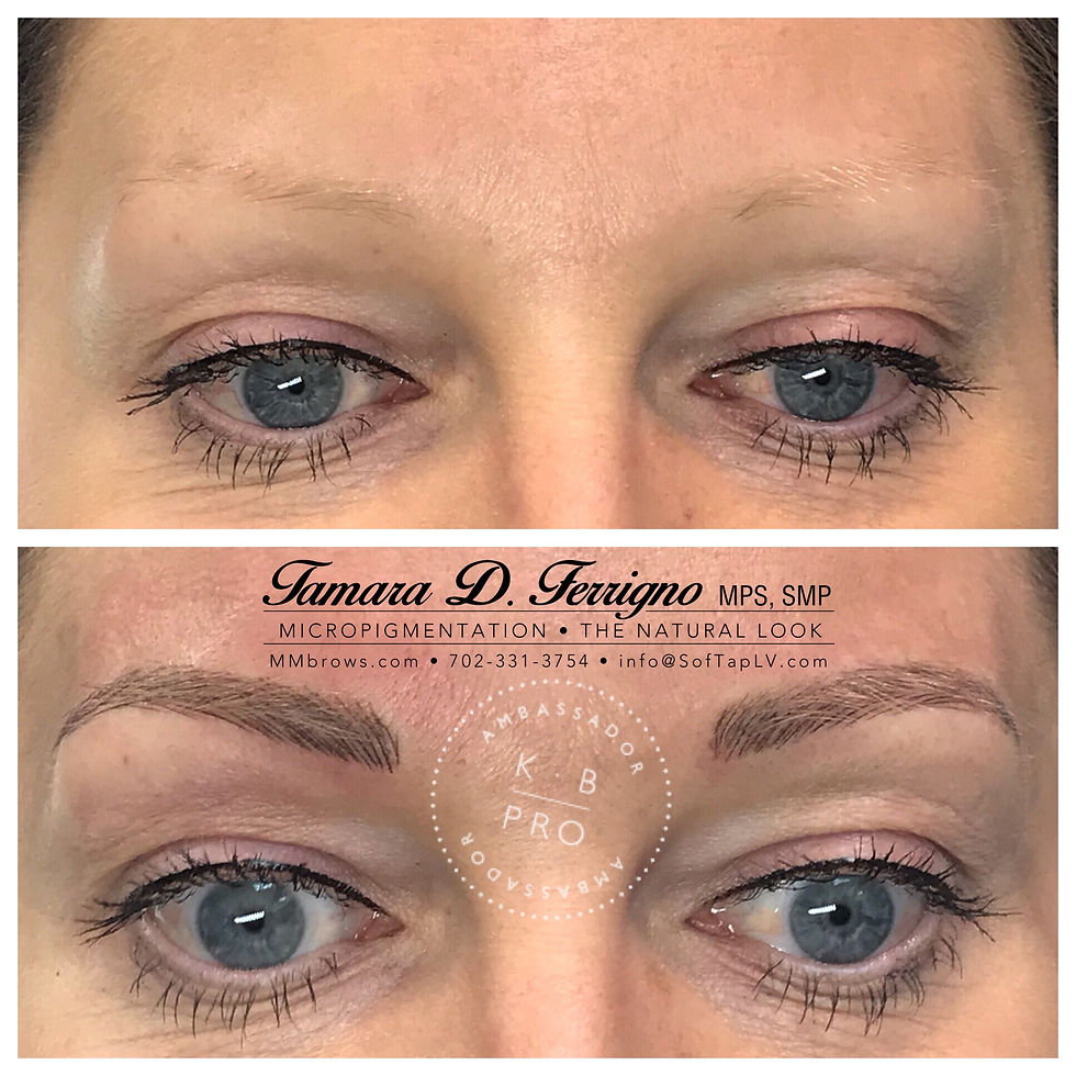 6D Microblading & Shading
