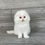 Thumbnail: "Pooshok" Longhaired Scottish Fold boy, White (w627381)