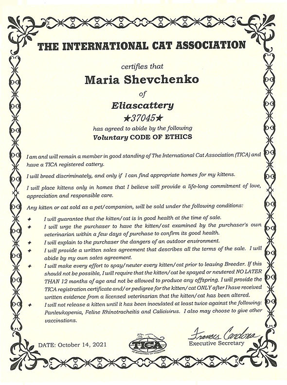 TICA ETHIKS Code.jpg