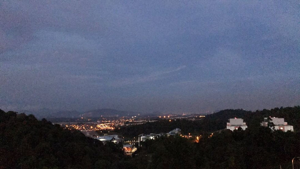 Night View