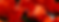 Cover Template.png