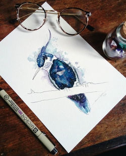 Beija Flor de Topete