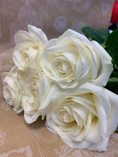 Bouquet de grandes roses blanches