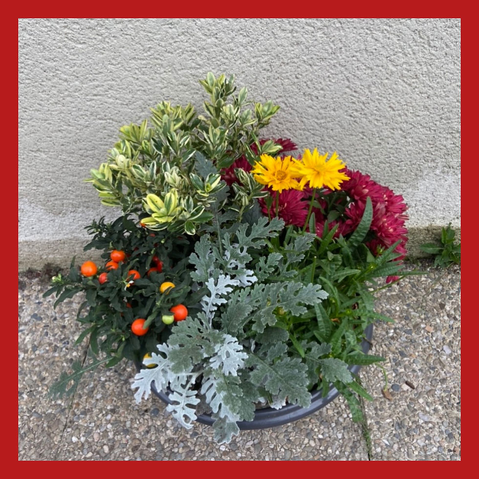 Miniature : Coupe de plantes