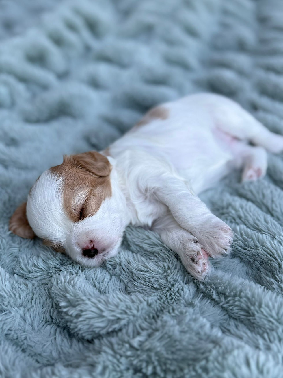 WhatsApp Image 2025-07-10 at 20.48.08 (2)