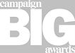 CAMPAIGN BIG AWARDS SILVER.jpg