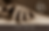 Thumbnail: $130 Gift Voucher -CranioSacral