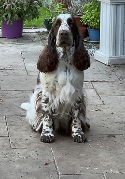 WhatsApp Image 2025-10-05 at 14.07.57.jpeg