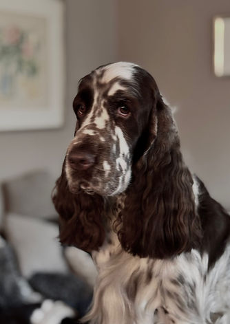 WhatsApp Image 2026-02-15 at 11.18.36.jpeg