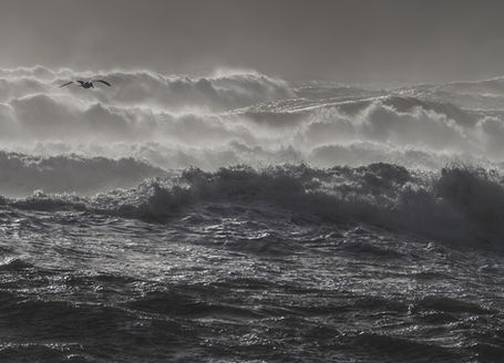Stormy sea in black and white