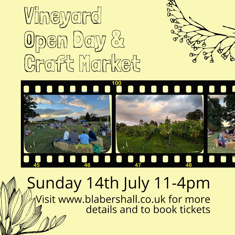 Summer Vineyard Open Day & Craft Market