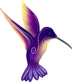ElkaRomero_hummingbird_for-web1.png