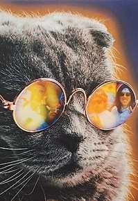 Kabarett Obelisk Potsdam Boba Kitten_edited.jpg