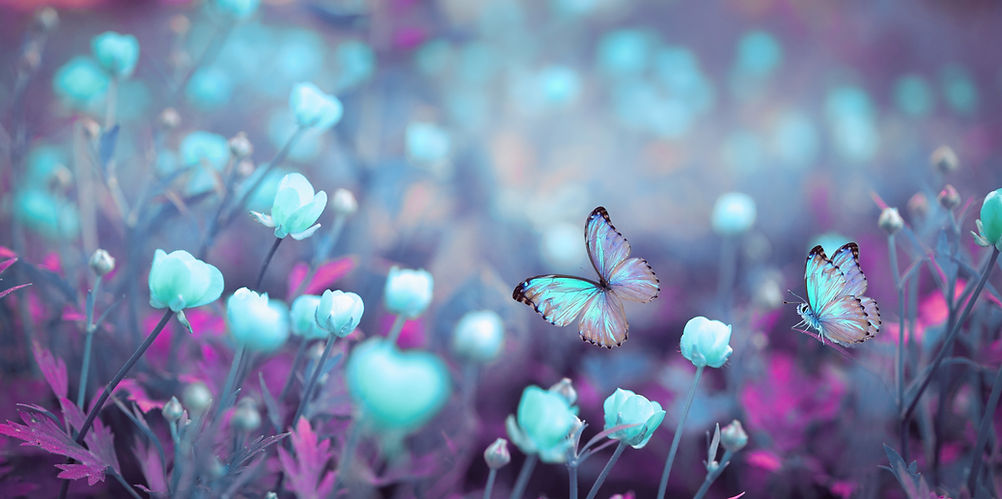 AdobeStock_270541574-2.jpeg