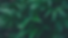 Background pic_3.png